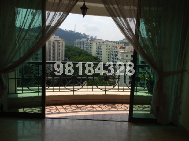 Chantilly Rise (D23), Condominium #9811312